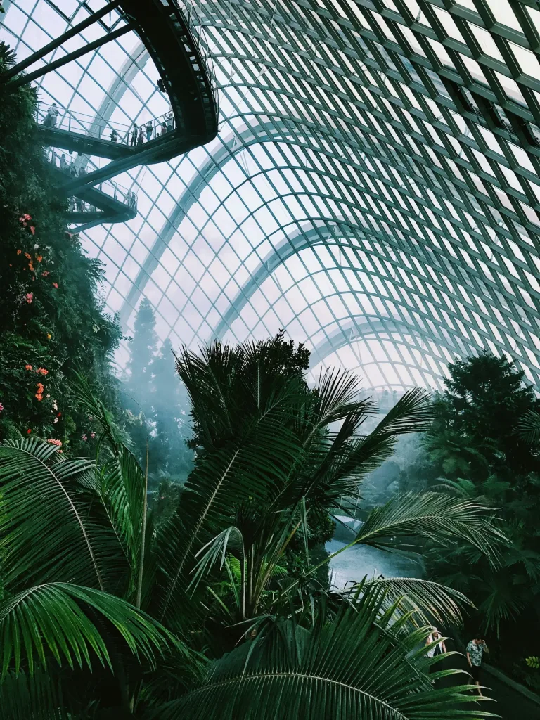 Choisissez la formule d’accompagnement adaptée à votre projet vers Singapour ou Hong Kong